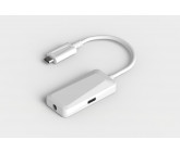 Type C 2 in 1 Adaptor