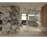 Bedroom Bathroom Closet Renovation Concept